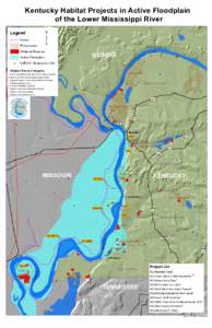 Kentucky Habitat Projects in Active Floodplain of the Lower Mississippi River ³  Legend