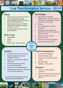 Crop Transformation Services Wheat Technologies  