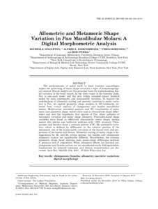 Allometric and Metameric Shape Variation in Pan Mandibular Molars: A Digital Morphometric Analysis