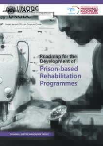 Roadmap for the Development of Prison-based Rehabilitation Programmes