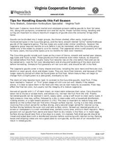 Tips for Handling Gourds this Fall Season Tony Bratsch, Extension Horticulture Specialist - Virginia Tech Each year I observe more direct market and wholesale growers adding gourds to their fall sales mix, along with pum