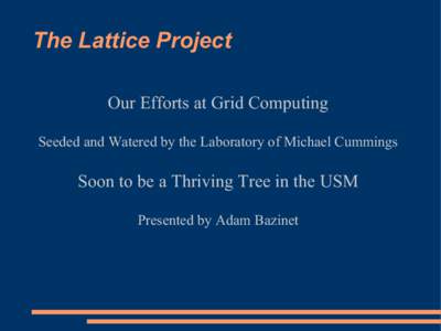The Lattice Project Our Efforts at Grid Computing Seeded and Watered by the Laboratory of Michael Cummings Soon to be a Thriving Tree in the USM Presented by Adam Bazinet