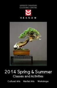 2014 Spring & Summer Classes and Activities Cultural Arts  Martial Arts