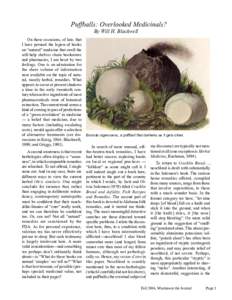 Puffballs: Overlooked Medicinals? By Will H. Blackwell On those occasions, of late, that I have perused the legion of books on “natural” medicine that swell the