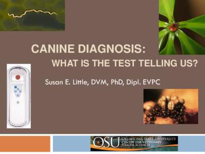 CANINE DIAGNOSIS: WHAT IS THE TEST TELLING US? Susan E. Little, DVM, PhD, Dipl. EVPC Dogs as Sentinels 