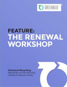 FEATURE:  THE RENEWAL WORKSHOP  Chemical Recycling