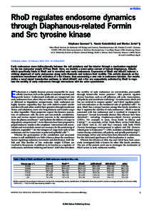 articles  RhoD regulates endosome dynamics through Diaphanous-related Formin and Src tyrosine kinase Stéphane Gasman*†, Yannis Kalaidzidis‡ and Marino Zerial*§