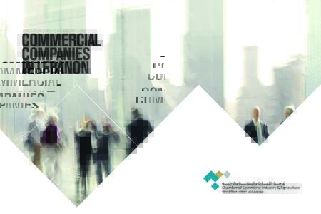 COMMERCIAL COMPANIES IN LEBANON 06