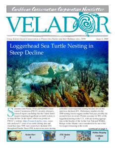 Caribbean Conservation Corporation Newsletter  Using Science-based Conservation to Protect Sea Turtles and their Habitats since 1959 Issue 4, 2006