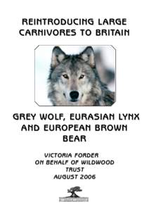 Scavengers / Bears / Eurasian Lynx / Fauna of Pakistan / Fauna of the Republic of Macedonia / Gray wolf / Wolves / Lynx / Brown bear / Zoology / Fauna of Asia / Biology