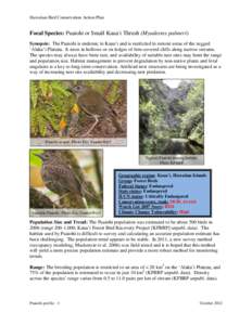 Hawaiian Bird Conservation Action Plan  Focal Species: Puaiohi or Small Kaua‘i Thrush (Myadestes palmeri) Synopsis: The Puaiohi is endemic to Kaua’i and is restricted to remote areas of the rugged ‘Alaka’i Platea