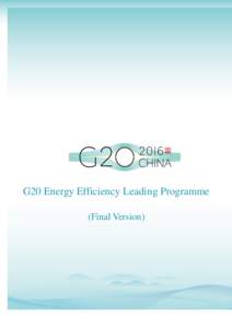 3  G20 G20 Energy Energy Efficiency Efficiency Leading