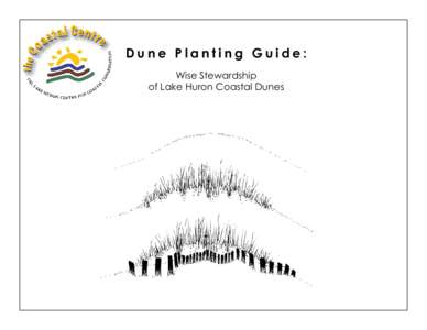 Dune Planting Guide: Wise Stewardship of Lake Huron Coastal Dunes Copyright, Lake Huron Centre for Coastal Conservation 2010