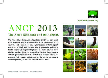 www.asiannature.org  ANCF[removed]T h e As i a n E leph a nt a nd its Hab itat. The Asian Nature Conservation Foundation (ANCF) , a non -profit public charitable trust is actively involved in the conservation of the