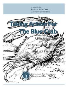 A report by the  Bi-State Blue Crab Advisory Committee  Taking Action For