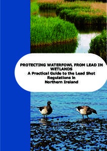 PROTECTING WATERFOWL FROM LEAD IN WETLANDS A Practical Guide to the Lead Shot Regulations in Northern Ireland