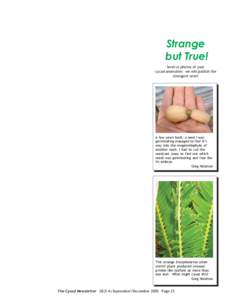 Strange but True! Send us photos of your cycad anomalies - we will publish the strangest ones!