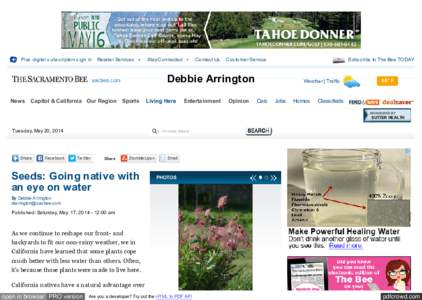 Seeds: Going native with an eye on water - Debbie Arrington - The Sacramento Bee