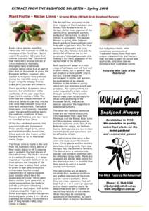 EXTRACT FROM THE BUSHFOOD BULLETIN – Spring 2008 Plant Profile – Native Limes - Exotic citrus species were first introduced into Australia in 1788 by members of the First Fleet. But it