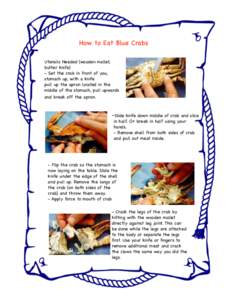 How to Eat Blue Crabs Utensils Needed (wooden mallet, butter knife)! - Set the crab in front of you, stomach up, with a knife! pull up the apron located in the
