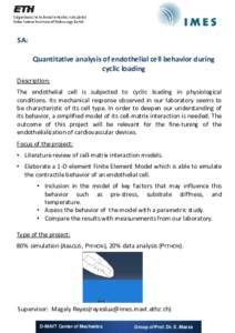 SA: Quantitative analysis of endothelial cell behavior during cyclic loading Description: The endothelial cell is subjected to cyclic loading in physiological conditions. Its mechanical response observed in our laborator