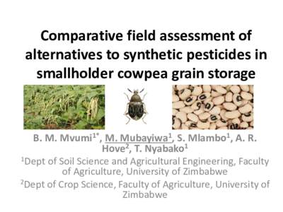 Comparative field assessment of alternatives to synthetic pesticides in cowpea grain storage
