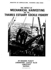 The impact of mechanical harvesting on the thames estuary cockle fishery