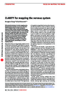 perspective	  focus on mapping the brain CLARITY for mapping the nervous system