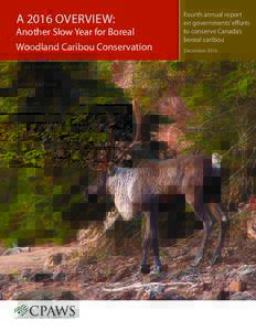 A 2016 overview:  Another Slow Year for Boreal Woodland Caribou Conservation  Fourth annual report