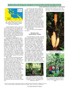 Cycads of the Sand: The Beach-dwelling Zamias of Bocas del Toro, Panama Article and Photos by Greg Holzman1 & Jody Haynes2 Fig. 1. Map of Bocas del Toro showing the major islands and place names on the mainland (after Fi