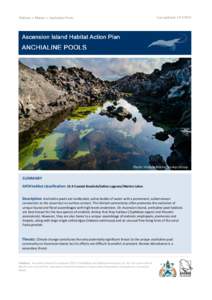 Last updated: Habitats > Marine > Anchialine Pools Photo: Shallow Marine Surveys Group