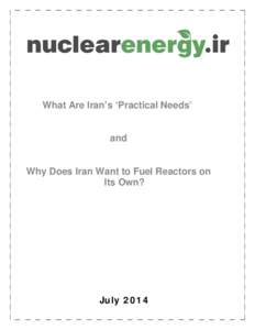 What Are Iran’s ‘Practical Needs’  and Why Does Iran Want to Fuel Reactors on Its Own?