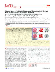 Letter pubs.acs.org/NanoLett Silicon Nanowire-Induced Maturation of Cardiomyocytes Derived from Human Induced Pluripotent Stem Cells Yu Tan,† Dylan Richards,† Ruoyu Xu,‡ Skylar Stewart-Clark,† Santhosh Kumar Mani