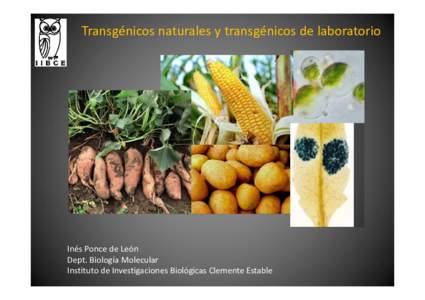 Transgénicos naturales y transgénicos de laboratorio  Inés Ponce de León Dept. Biología Molecular Instituto de Investigaciones Biológicas Clemente Estable