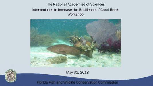 The National Academies of Sciences Interventions to Increase the Resilience of Coral Reefs Workshop May 31, 2018 Florida Fish and Wildlife Conservation Commission