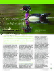 Celebrate our Wetland Birds When I was a kid, my family and I often went on wilderness canoe trips. Though we usually paddled the bigger lakes, our explorations occasionally took us across beaver ponds,