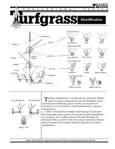 MF2031 Turfgrass Identification: Professional Series