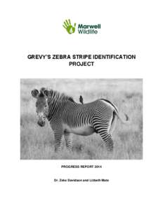 GREVY’S ZEBRA STRIPE IDENTIFICATION PROJECT PROGRESS REPORTDr. Zeke Davidson and Lizbeth Mate