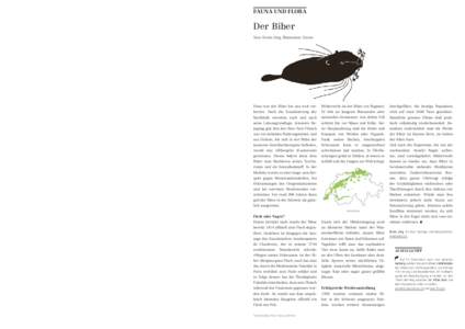 Fauna und flora  Der Biber Text: Erwin Jörg, Illustration: Cincin  droht die wertvolle Zutat zu verkohlen! Im Übrigen