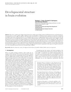 BEHAVIORAL AND BRAIN SCIENCES, 263–308 Printed in the United States of America Developmental structure in brain evolution Barbara L. Finlay, Richard B. Darlington,
