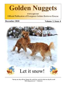 Golden Nuggets www.egrr.net Official Publication of Evergreen Golden Retriever Rescue DecemberVolume 3, Issue 4