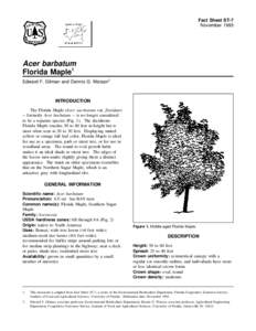 Fact Sheet ST-7 November 1993 Acer barbatum Florida Maple1 Edward F. Gilman and Dennis G. Watson2