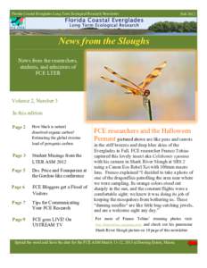Florida Coastal Everglades Long Term Ecological Research Newsletter  Fall 2012 News from the Sloughs News from the researchers,