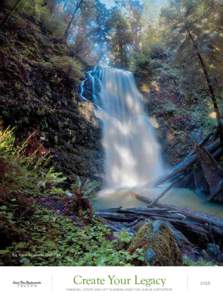 Big Basin Redwoods State Park  Create Your Legacy financial, estate and gift planning ideas for league supporters  2015