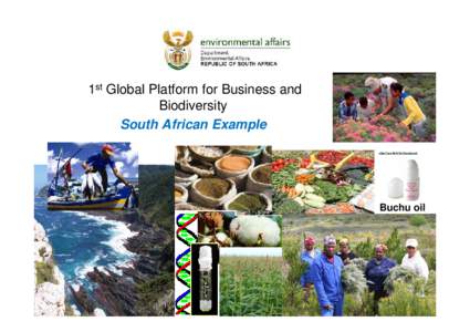 1st Global Platform for Business and Biodiversity South African Example entle Care Roll-On Deodorant  Buchu oil