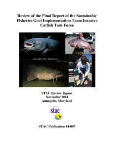 Review of the Final Report of the Sustainable Fisheries Goal Implementation Team Invasive Catfish Task Force STAC Review Report November 2014