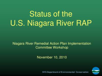 Status of the U.S. Niagara River RAP Niagara River Remedial Action Plan Implementation Committee Workshop November 10, 2010