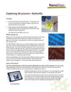   	
   	
      Exploring	
  Structures—Butterfly	
  