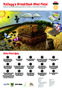 Kellogg’s Breakfast Mini Field Discover how much nature goes into a 1 metre x 1 metre mini wheat field 2  3