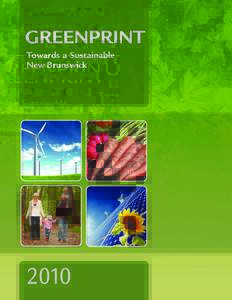 Towards a Sustainable New Brunswick Acknowledgements This document represents a broad consensus within New Brunswick’s environmental community for a shared vision and action plan for the province. It encompasses the c